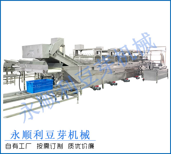 大型綠豆芽去殼清洗機(jī)
